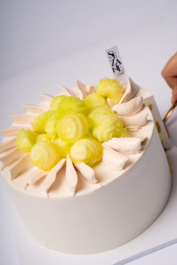 Melon Cream Cake